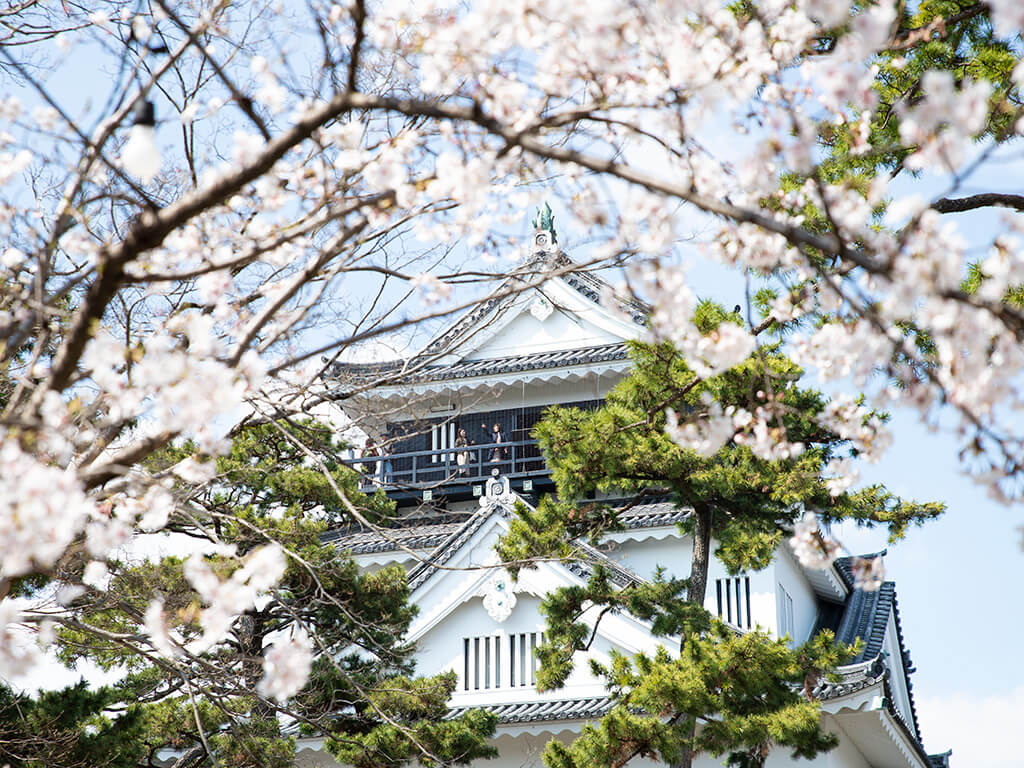 Okazaki Castle in Spring
