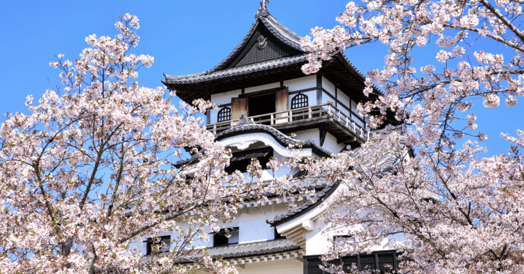 Inuyama Castle during cherry blossoms