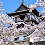 Inuyama Castle during cherry blossoms
